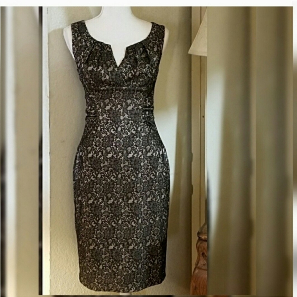 Adrianna Pappell Gorgeous Lace Dress